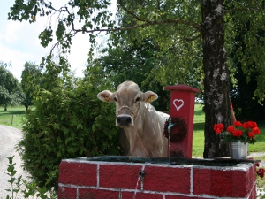 Die Kuh Helmara am Brunnen