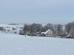 Wolfeshof im Winter